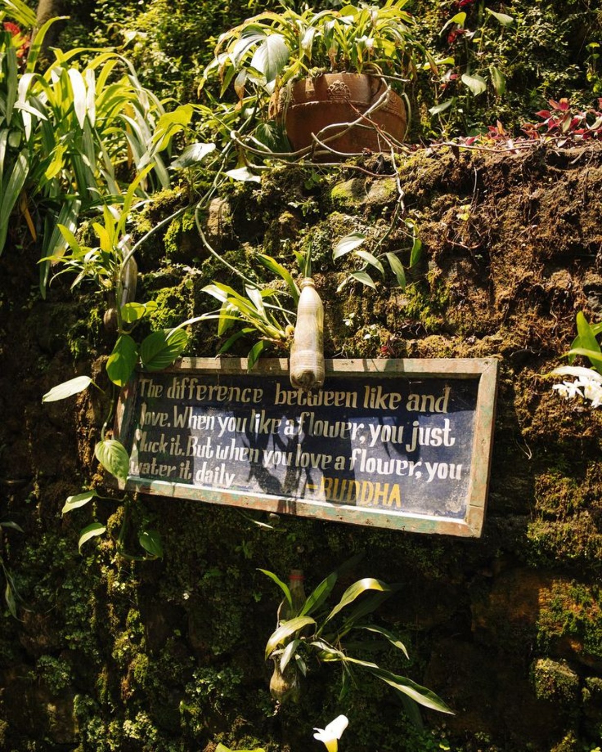 A small sign and statue beside a leafy forest path