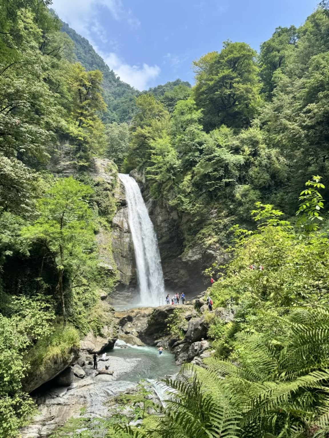 Waterfall surrounded by green forest and rocks